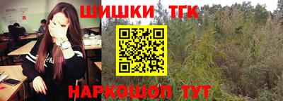 амф Кингисепп