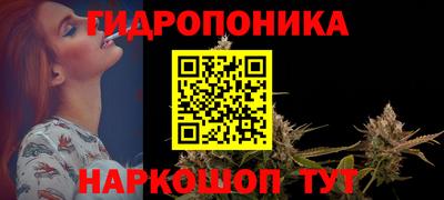 амф Кингисепп