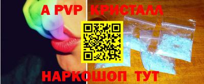 амф Кингисепп