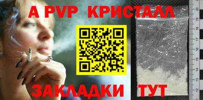 амф Кингисепп