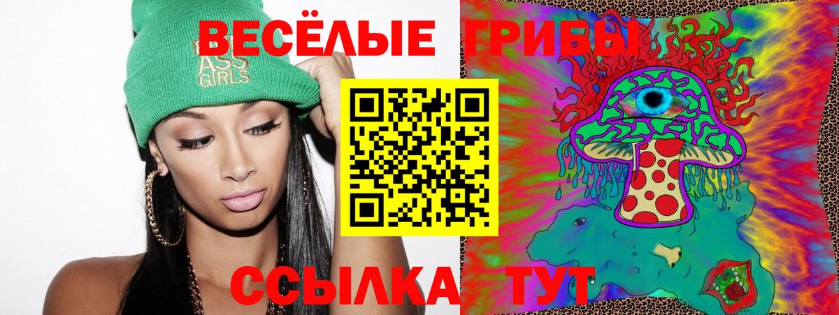 купить   Шумерля  Псилоцибиновые грибы Cubensis 