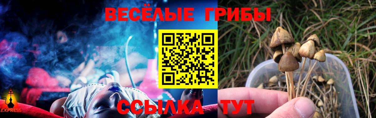 Галлюциногенные грибы Magic Shrooms Шумерля